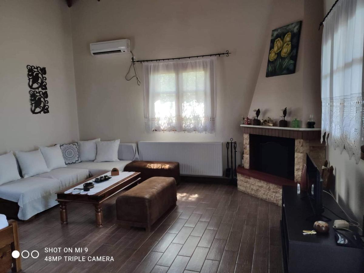 Elia House 1 Astoning Sea View Among The Olive Trees Apartment Patitiri  Exterior photo