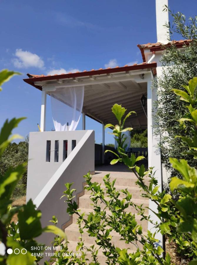 Elia House 1 Astoning Sea View Among The Olive Trees Apartment Patitiri  Exterior photo