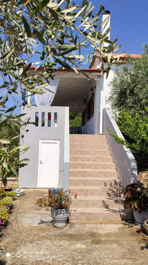 Elia House 1 Astoning Sea View Among The Olive Trees Apartment Patitiri  Exterior photo