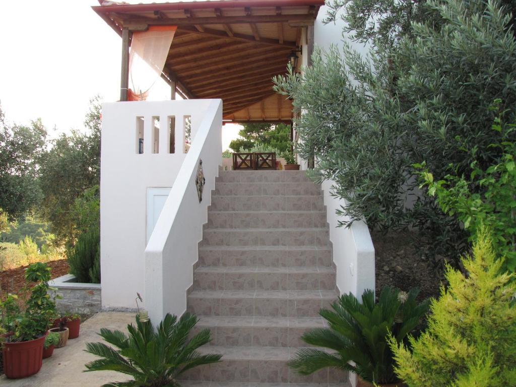 Elia House 1 Astoning Sea View Among The Olive Trees Apartment Patitiri  Room photo